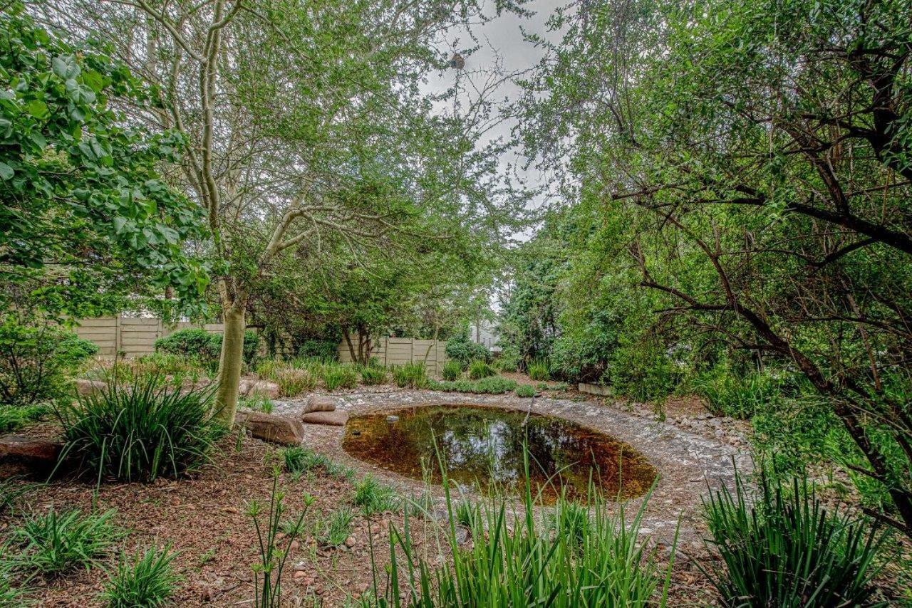 Wild Olive Executive Suite Johannesburg Esterno foto
