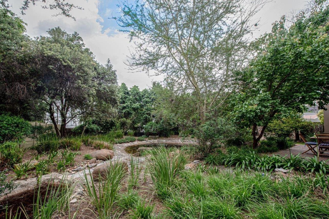 Wild Olive Executive Suite Johannesburg Esterno foto