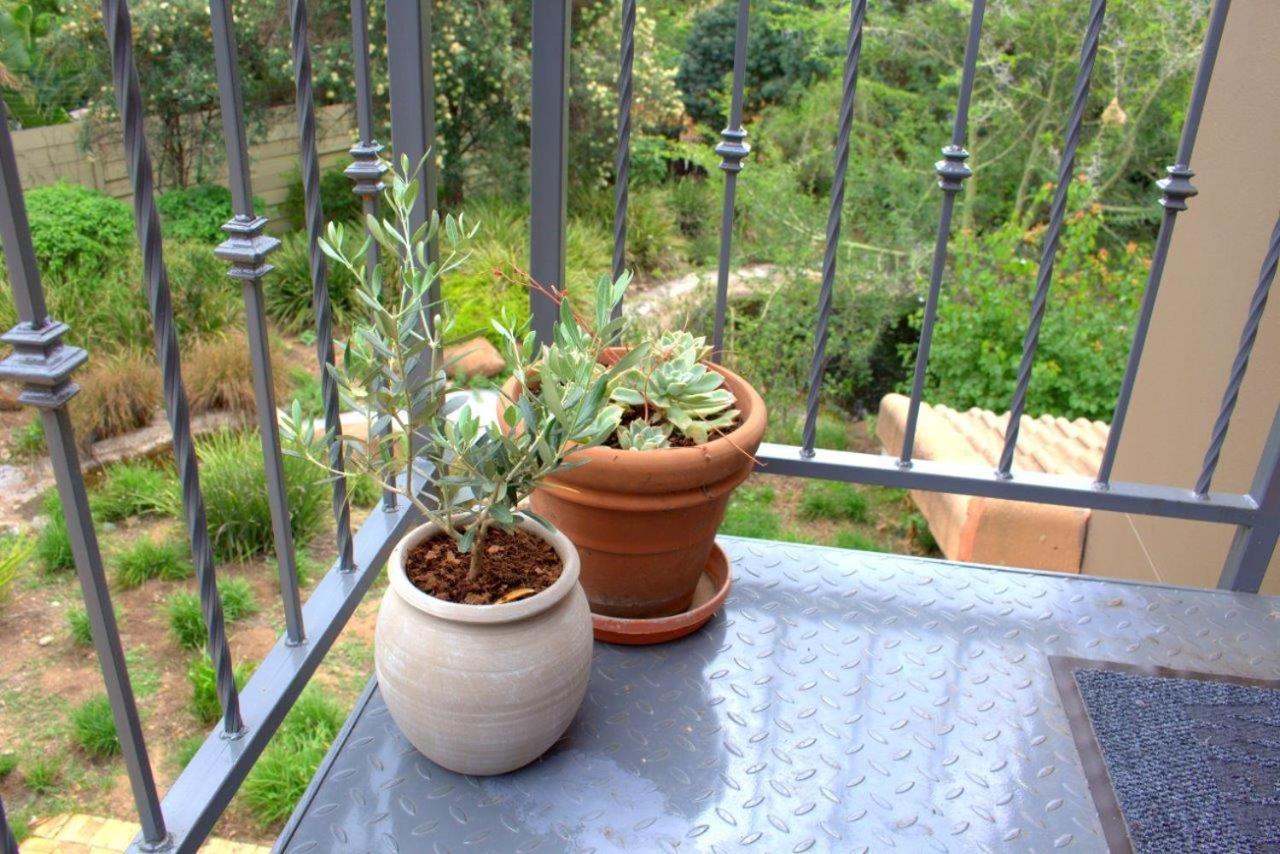 Wild Olive Executive Suite Johannesburg Esterno foto
