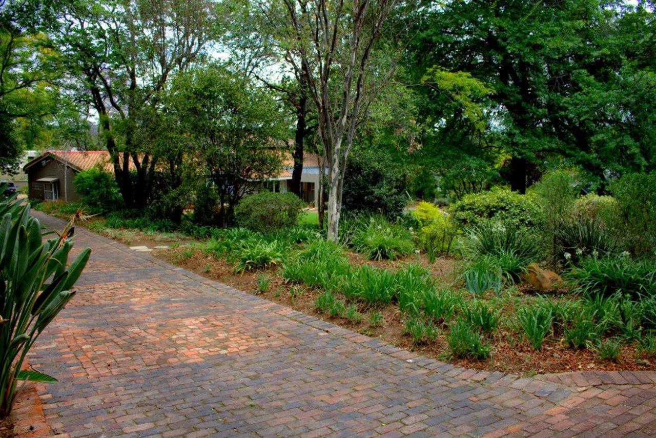 Wild Olive Executive Suite Johannesburg Esterno foto