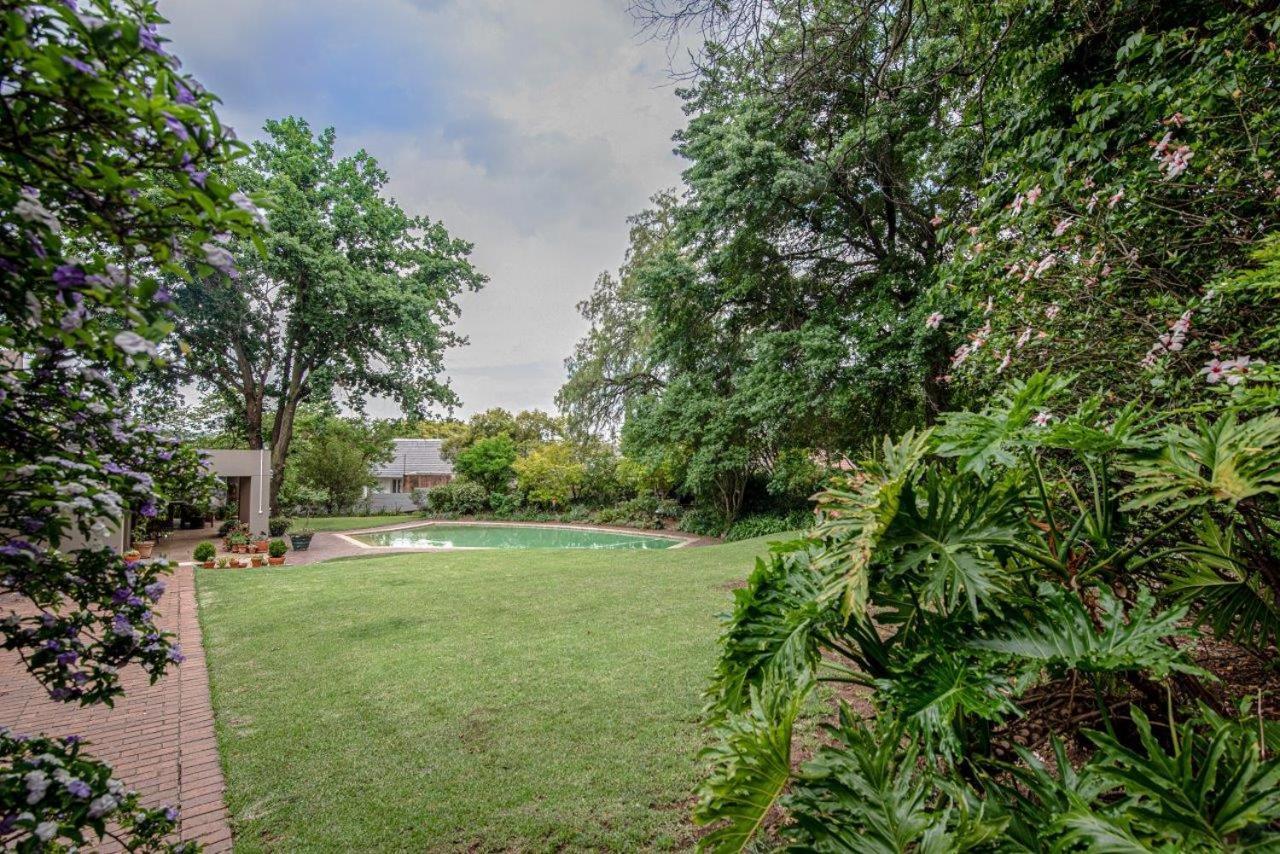 Wild Olive Executive Suite Johannesburg Esterno foto