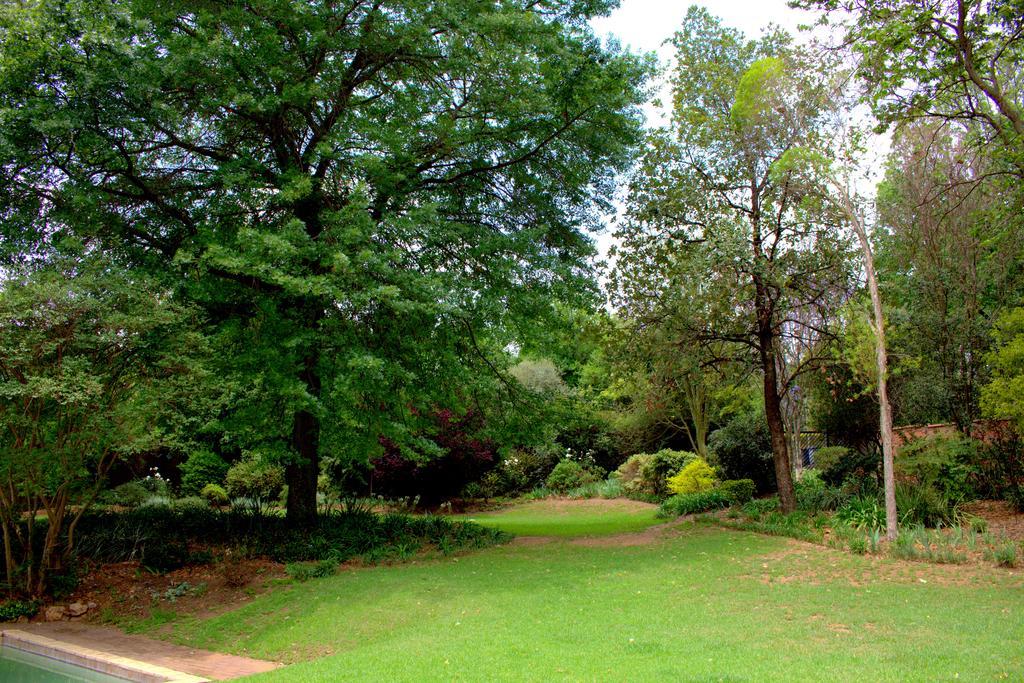 Wild Olive Executive Suite Johannesburg Esterno foto
