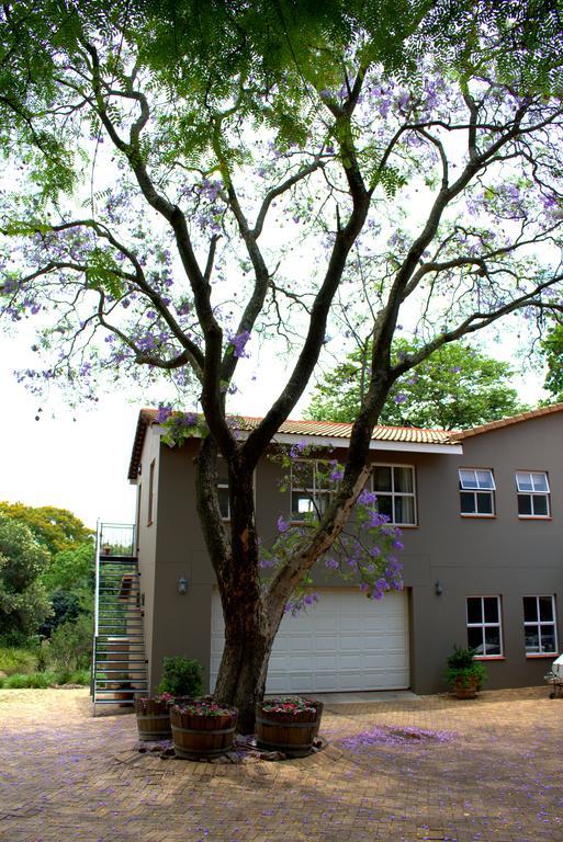 Wild Olive Executive Suite Johannesburg Esterno foto